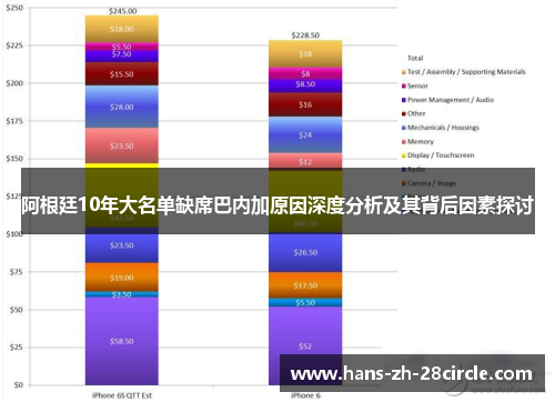 阿根廷10年大名单缺席巴内加原因深度分析及其背后因素探讨