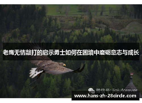 老鹰无情敲打的启示勇士如何在困境中磨砺意志与成长