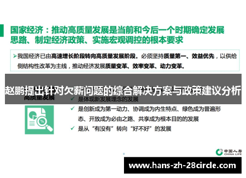 赵鹏提出针对欠薪问题的综合解决方案与政策建议分析 赵鹏提出针对欠薪问题的综合解决方案与政策建议分析