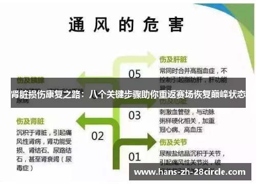 肾脏损伤康复之路：八个关键步骤助你重返赛场恢复巅峰状态